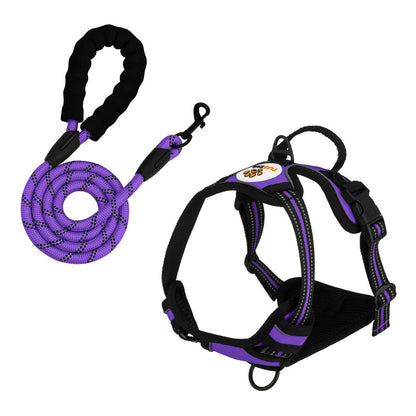 TugTail Harness & Leash Set