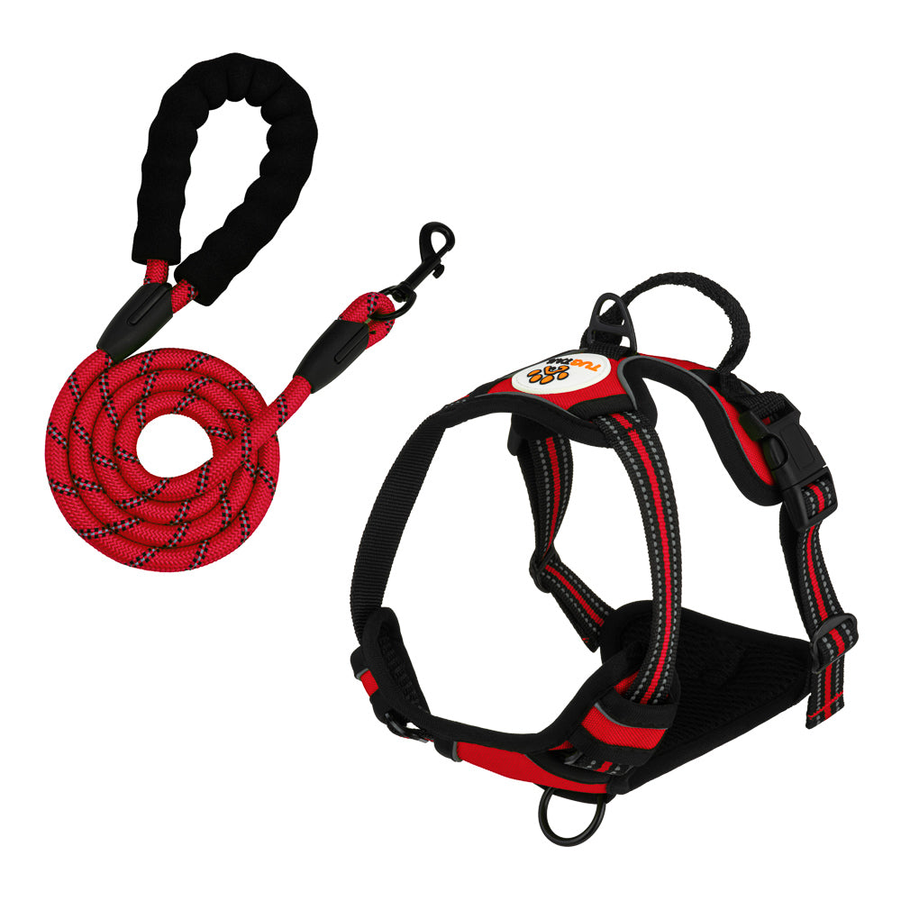 TugTail Harness & Leash Set